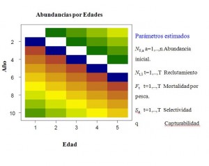 PROGRAMA_DE_EVALAUCION_DE_STOCKS-DE_RECURSOS_PESQUEROS_INDIRECTA