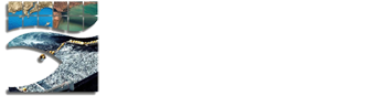 Inpesca